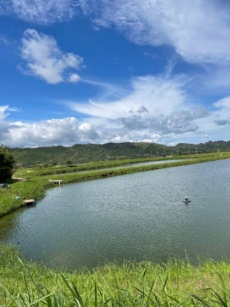 Vista lagunas cultivo